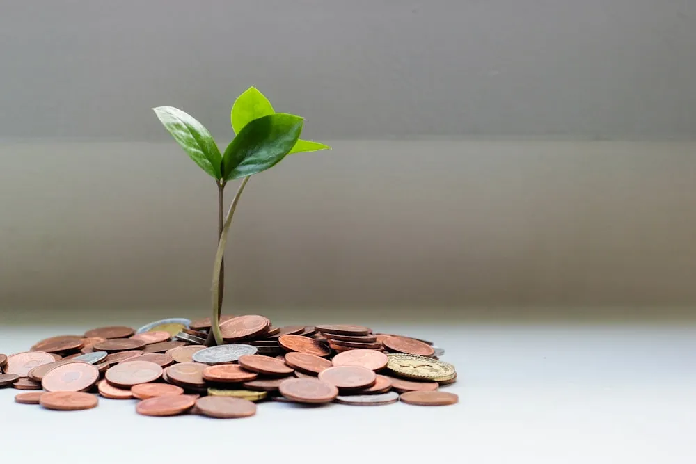 Financer la formation IA de vos équipes : OPCO, plan de compétences et Qualiopi expliqués