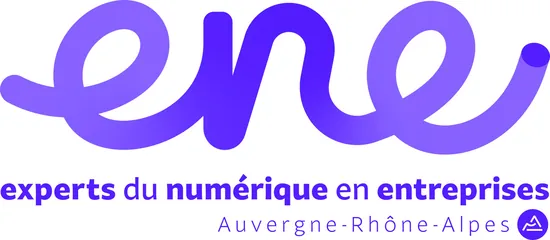 ENE - Experts du Numérique en Entreprises